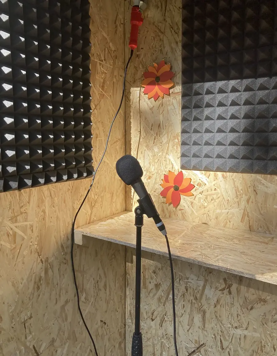 La cabine voix, micro et panneaux acoustiques
